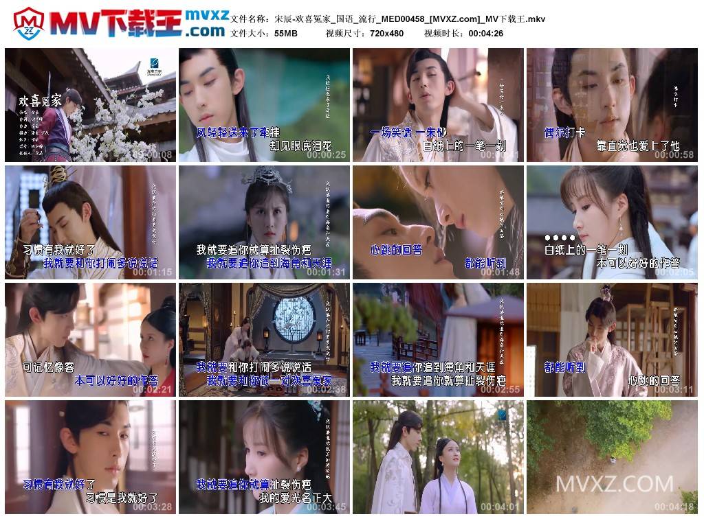 宋辰-欢喜冤家_国语_流行_MED00458